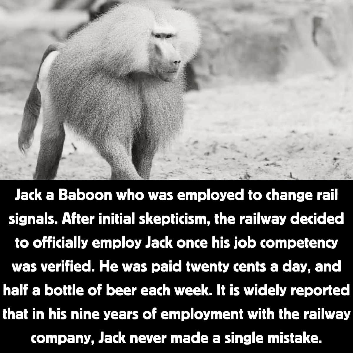 Bizarre Historical Events That Sound So Absurd, It’s Hard to Believe ...