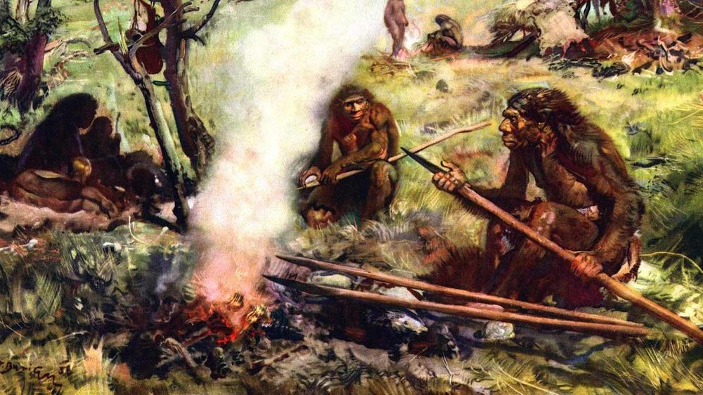 Early Humans Invented Fire Intriguing Facts About Early Human History We Weren’t Taught in School ...